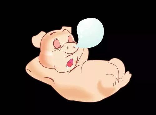 吃瓜猪娱乐,揭秘娱乐圈幕后故事,带你领略明星们的真实生活